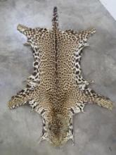 Rare Jaguar Hide *TX RES ONLY* TAXIDERMY