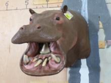 Real Skin Reproduction Teeth Hippo Sh Mt TAXIDERMY