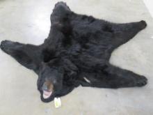 Very Nice /Big Black Bear Felted Rug w/Mounted Head TAXIDERMY