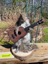 Country music star, Guitar playing Squirrel, or Rock Star ? 11 1/2 inches tall, 8 1/2 inches wide on