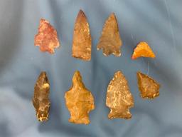 Lot of 8 Jasper Arrowheads- Berks Co., PA Longest 2"