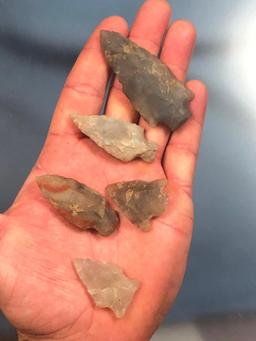 Lot of 4 Chalcedony Points, Colorful, Berks Co., PA, Longest 2 1/2" Long Arrowheads