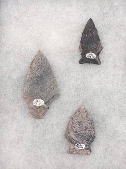 Lot of 8 NICE Rhyolite Points, Broads Orient, Cecil Co., MD, Lancaster, York Counies, Longest 3"