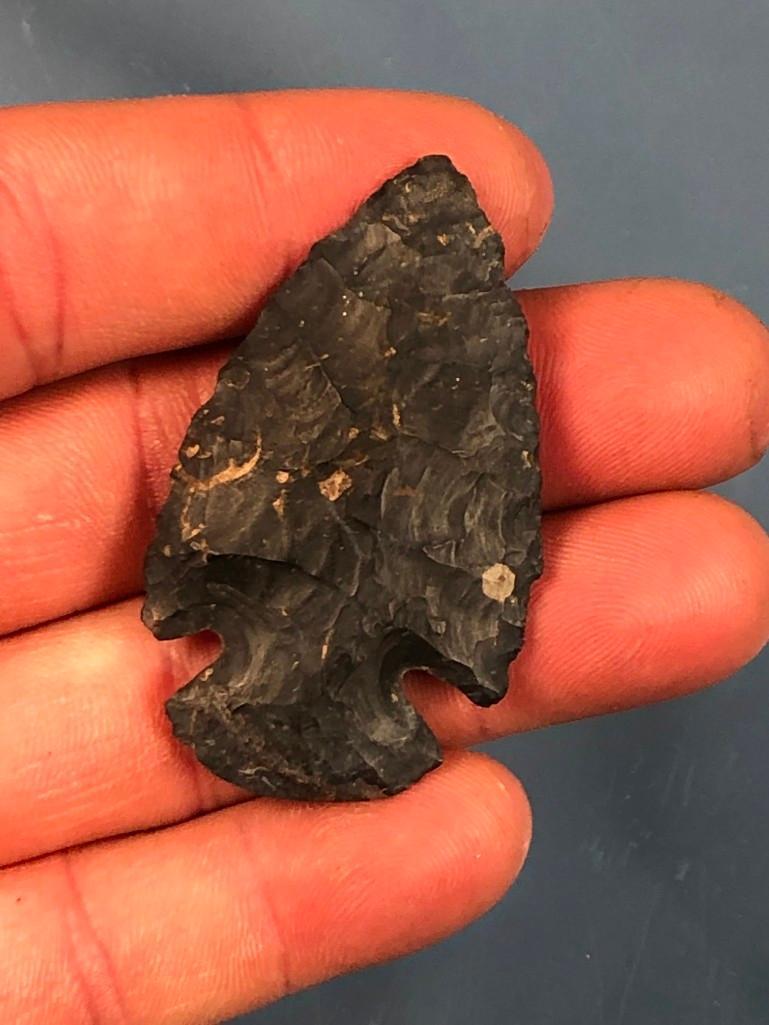 2 1/16" Black Chert Dovetail, Found on Haldeman Island 1946 Ex: T. Enders