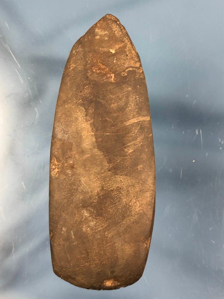 5 1/2" Polished Celt, NICE, Halifax PA, Ex: T. Enders, Sharp Bit