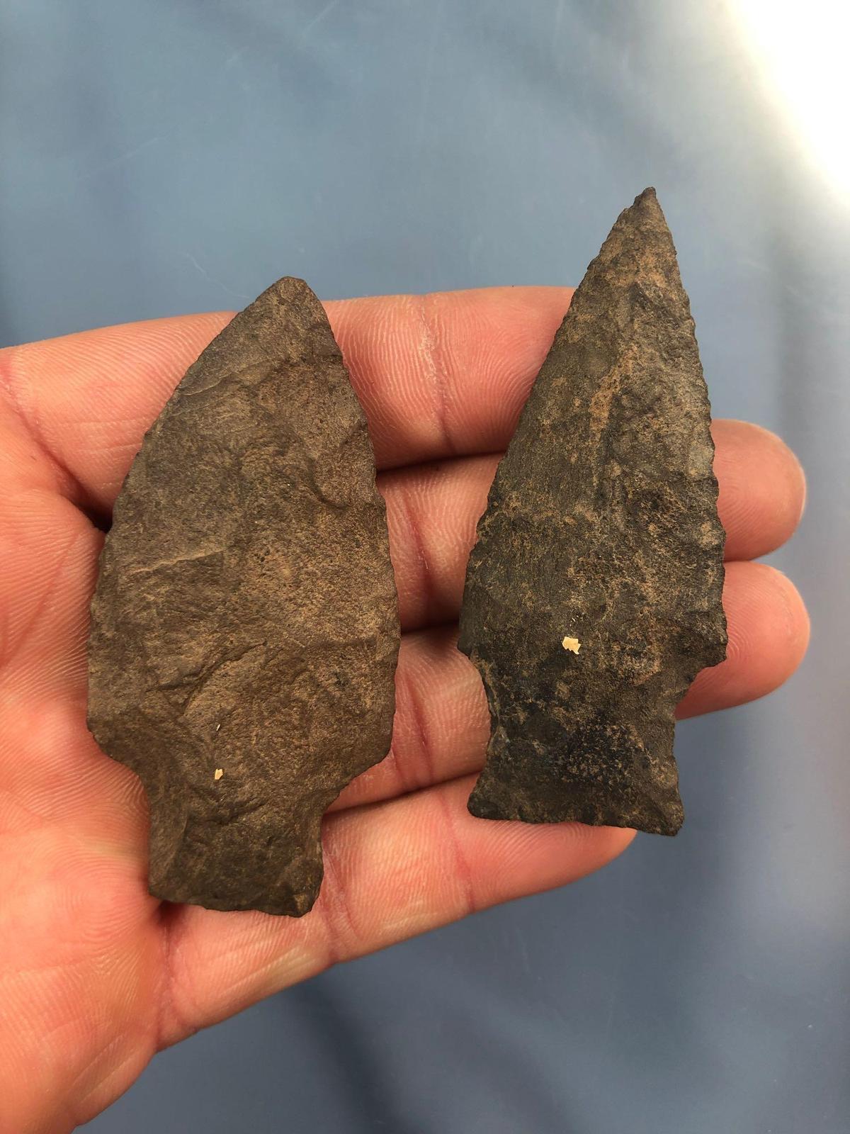 Pair of Archaic Stem Points, Dauphin Co., PA, Ex: Rumfelt, Longest 2 3/4"