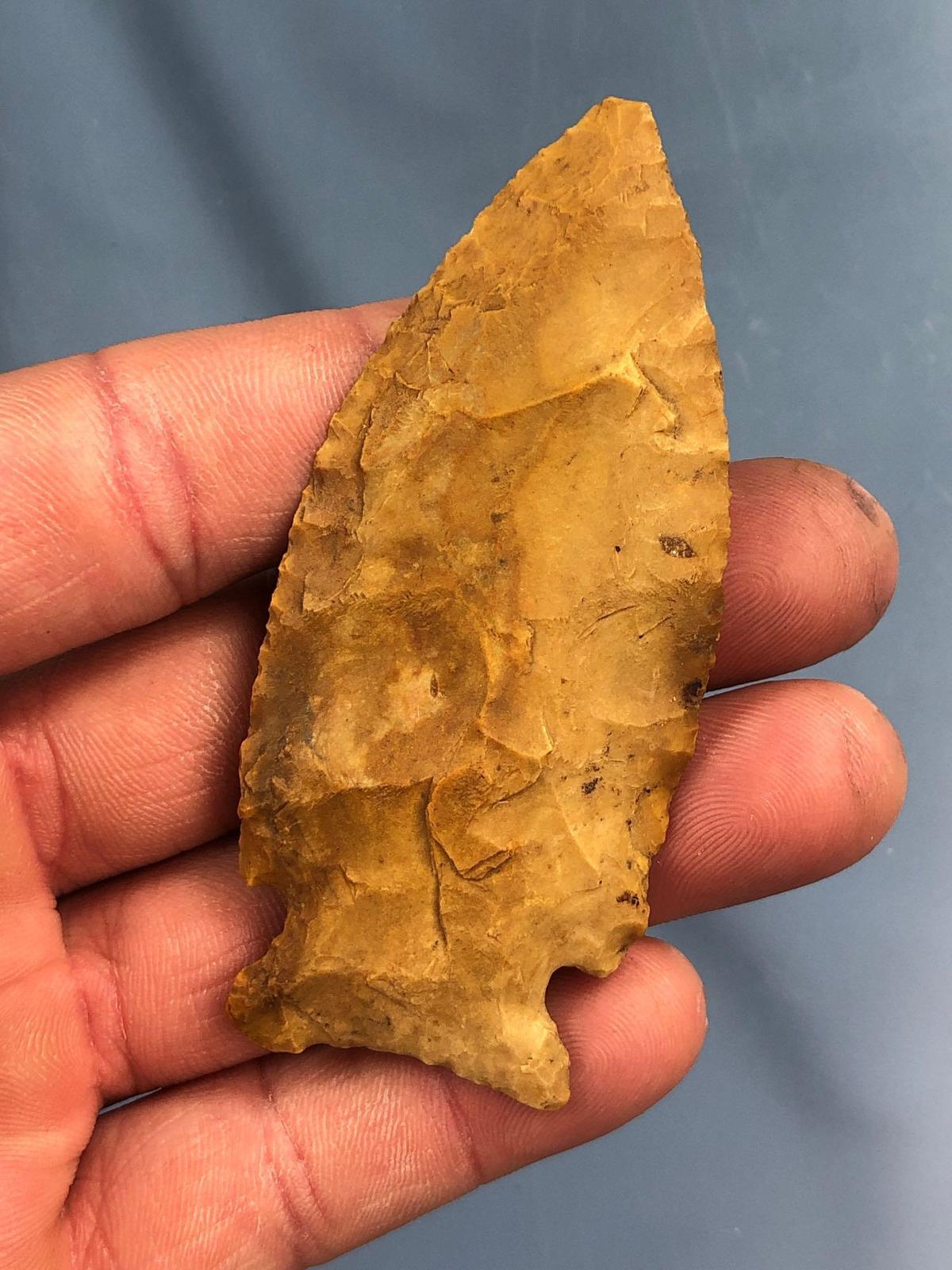 3 1/8" Jasper Jacks Reef Point, New Jersey Find, THIN Piece