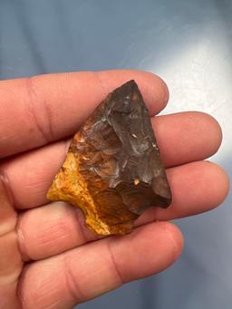 Colorful 1 7/8" Marion Arrowhead, Found in Florida, Ex: Summers