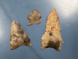 Lot of Virginia Arrowheads, Hardaway/Dalton Paleo Points, Chert, Ex: Summers Collection