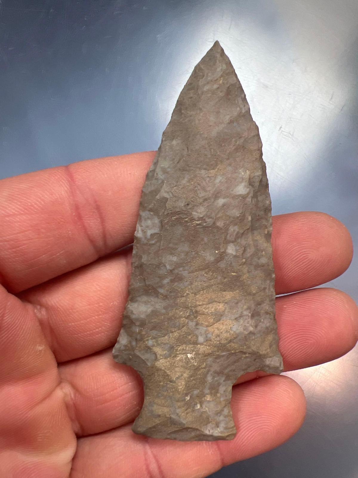 3 3/8" Ft. Payne Chert Pickwick, THIN, Perfect Condition, Found in Tennessee