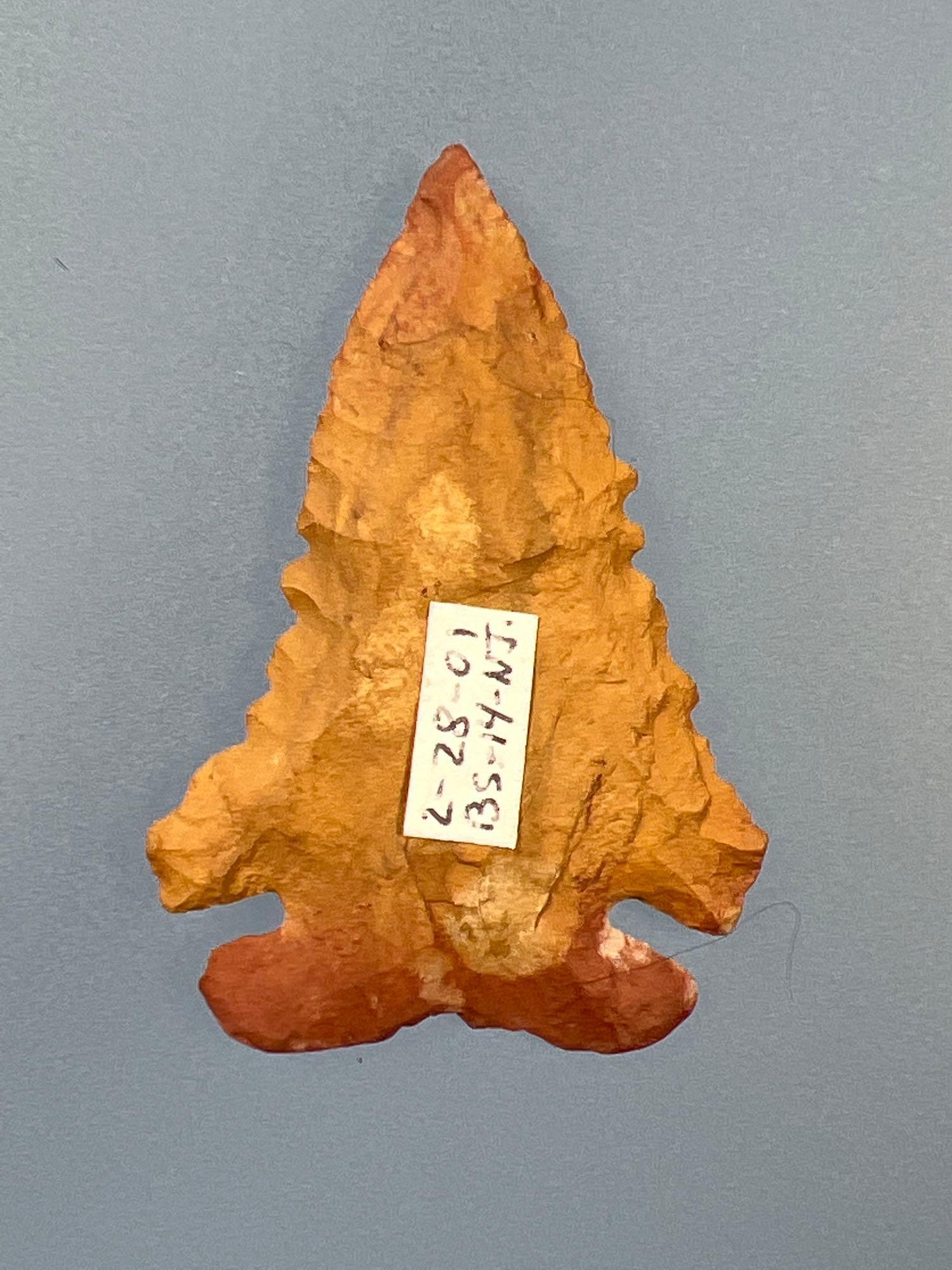 Incredible 1 13/16 Jasper Corner Notch Kessel Serrated Point, Heat-Treated, Found in Salem Co., NJ,