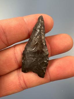 Nice 1 7/8" Black Chert Fluted Paleo Point, Dalton w/Resharpening, Found in PA, Nicely Made