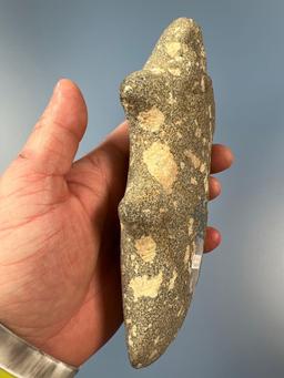 HIGHLIGHT 7 1/2" Porphry Barbed Trophy/Michigan Axe, Found in Fulton Co., Ohio, Ex: Bob Sharp Collec