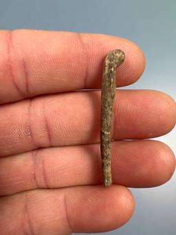 HIGHLIGHT Incredibly Rare 1 3/4" Bone War Club Effigy, Iroquoian, Seneca Co., NY, Ex: Noakes Collect