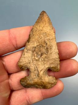 NICE 2 7/8" Chert Thebes Point, Found in Tennessee, Nice Condition and Colorful Piece