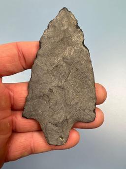 NICE 3 7/8" Argillite Lehigh/Morrow Mountain, Found in Berks Co., PA, PAPER THIN, Minor Flea Nicks N