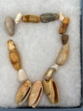 Nice Lot of 16 Shell Beads, Drilled, Nice Condition, Found in South Caroline, Ex: Burley Museum