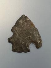 RARE 1" Notched Eccentric Point, Found in Grasonville, Maryland on the Shore at Talisman Farm in 194
