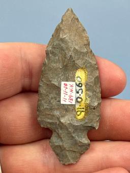 2 1/2" Turkey Tail, Onondaga Chert, Found in New York State, Ex: Dave Collins Collection