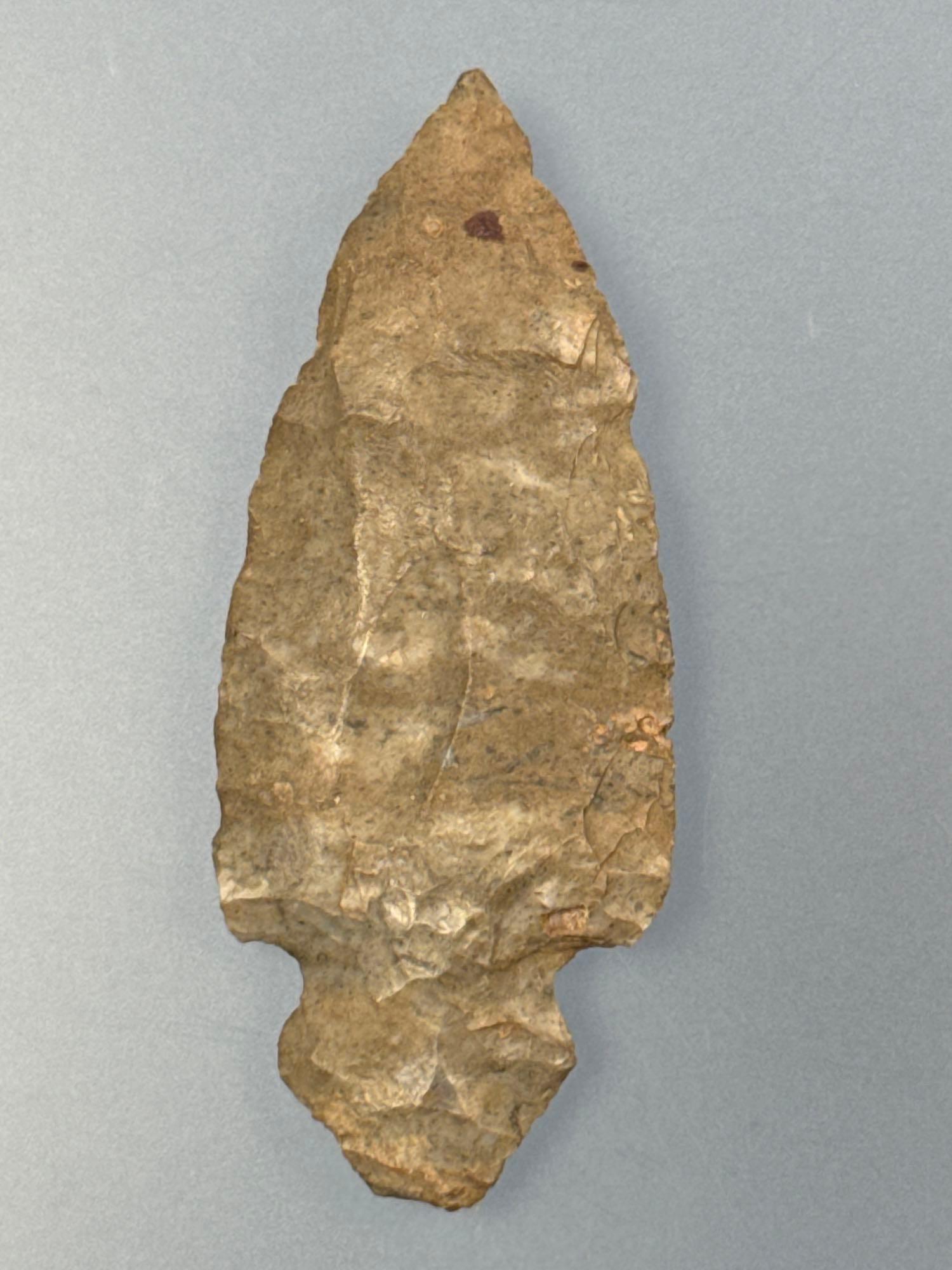 2 1/2" Turkey Tail, Onondaga Chert, Found in New York State, Ex: Dave Collins Collection