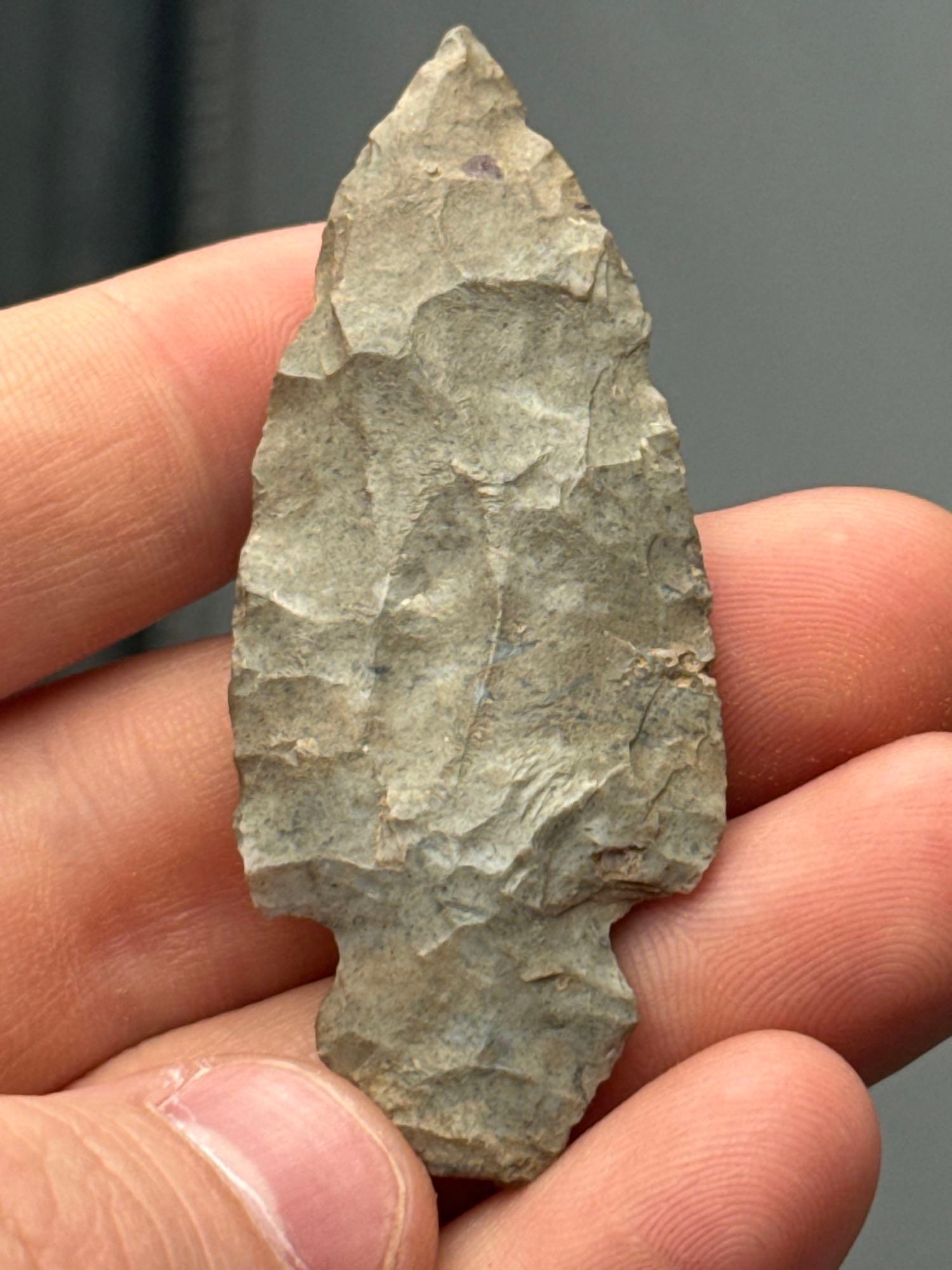 2 1/2" Turkey Tail, Onondaga Chert, Found in New York State, Ex: Dave Collins Collection