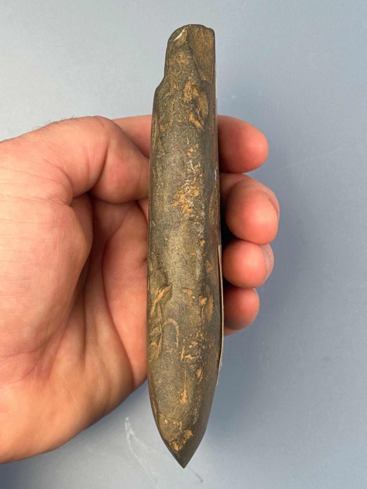 5 3/8" Polished Bit Celt, Found in Warren Co., New Jersey, Ex: Gingles Collection
