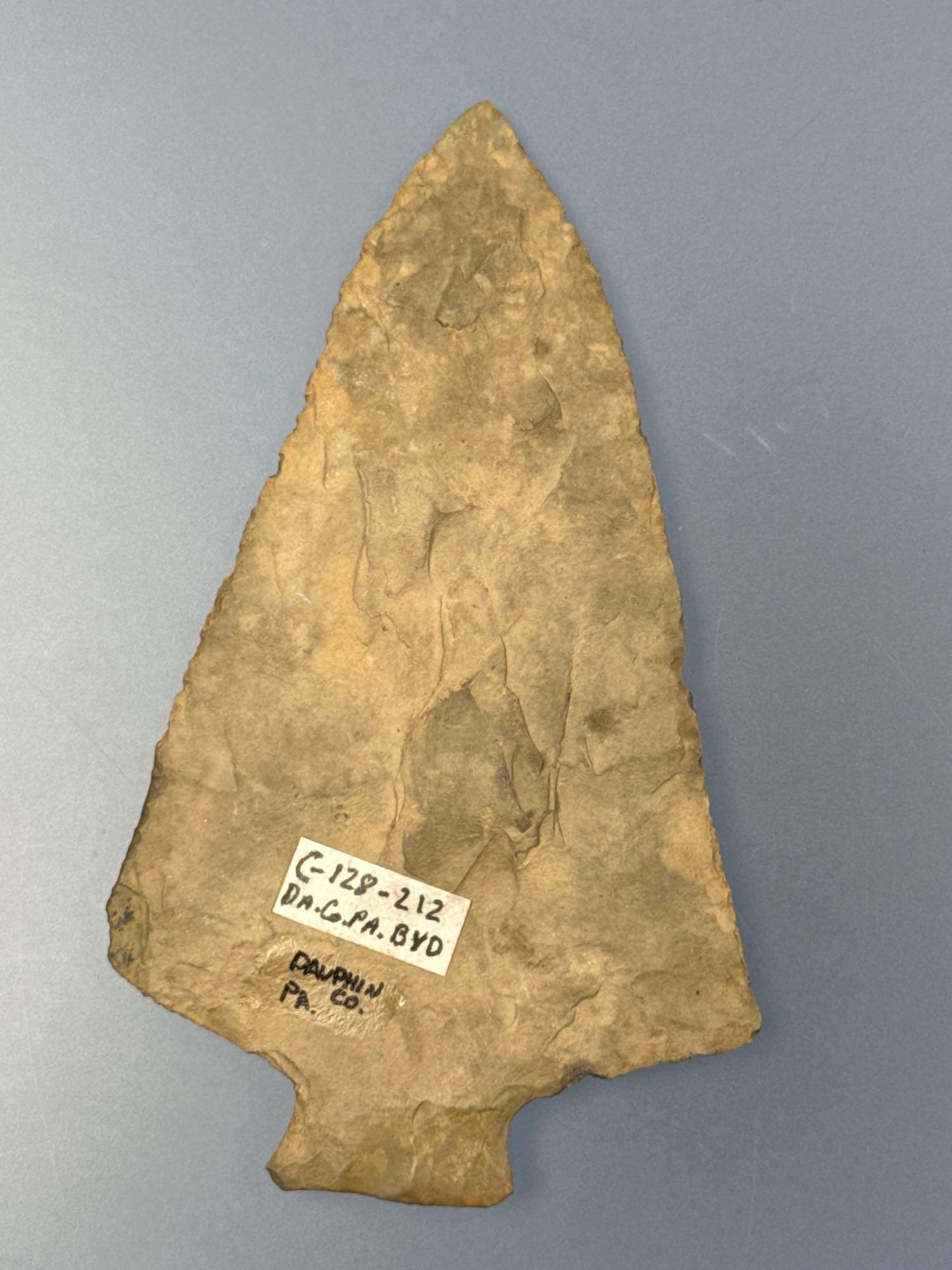 SUPERB 3 5/8" Paper Thin Perkiomen Point, Found in Dauphin Co., PA, Minor Restoration to Corner of B