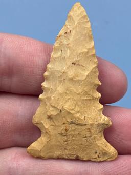 2 3/16" Serrated Yellow Bolen Bevel, Found in Stokes Co., North Carolina, Nice Example