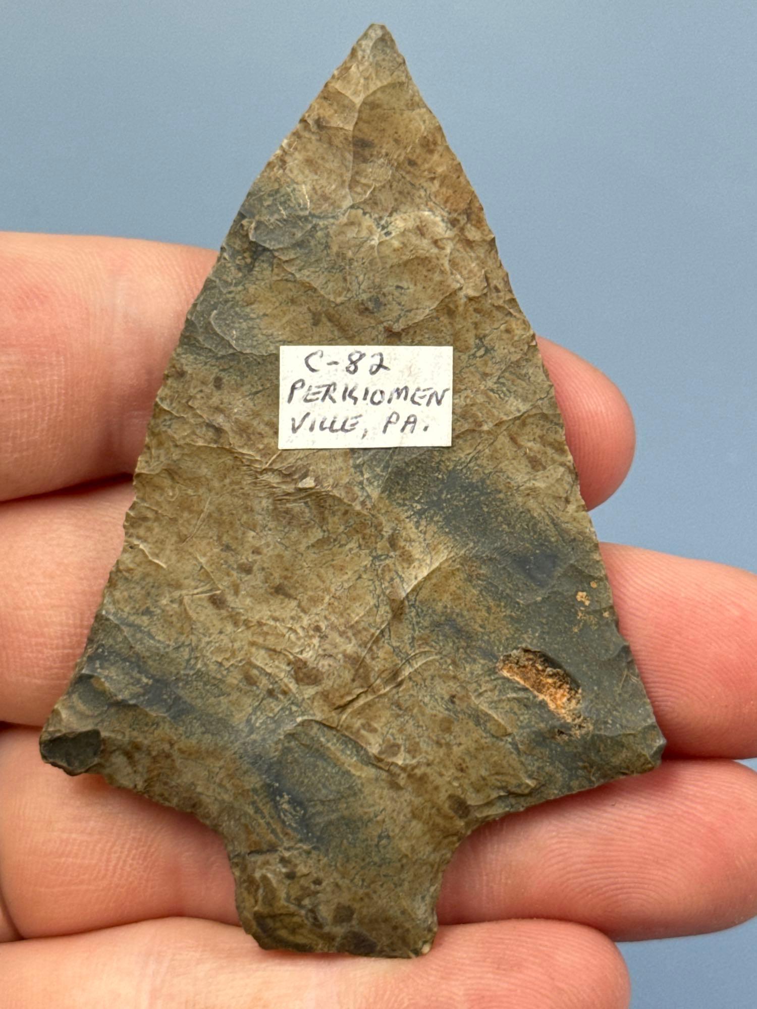 STUNNING 3 1/16" Normanskill Chert Transitional Point, Lehigh/Perkiomen, Found in Perkiomenville, PA