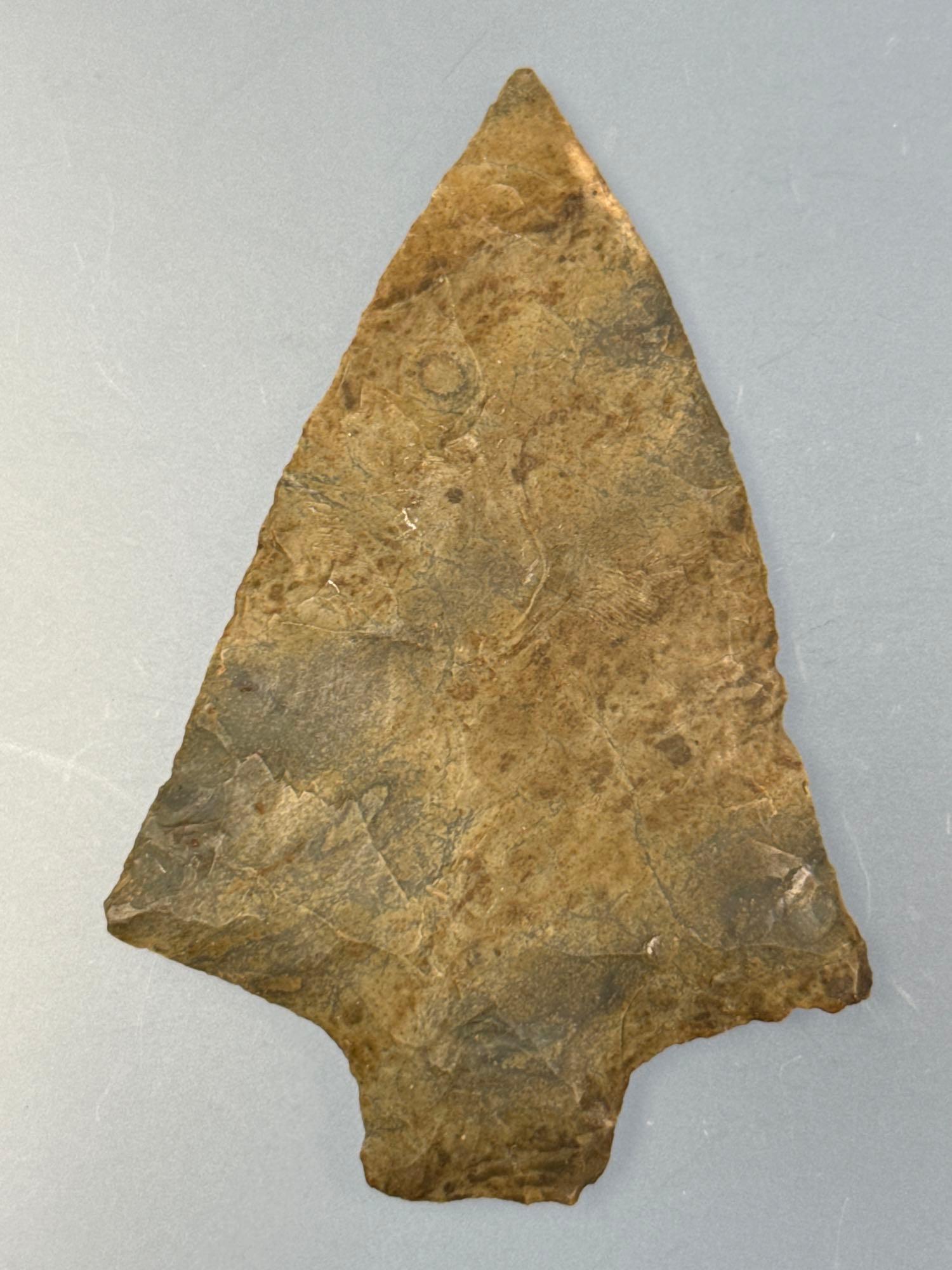 STUNNING 3 1/16" Normanskill Chert Transitional Point, Lehigh/Perkiomen, Found in Perkiomenville, PA