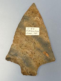 STUNNING 3 1/16" Normanskill Chert Transitional Point, Lehigh/Perkiomen, Found in Perkiomenville, PA