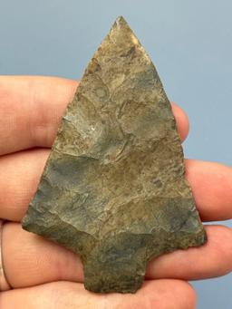 STUNNING 3 1/16" Normanskill Chert Transitional Point, Lehigh/Perkiomen, Found in Perkiomenville, PA