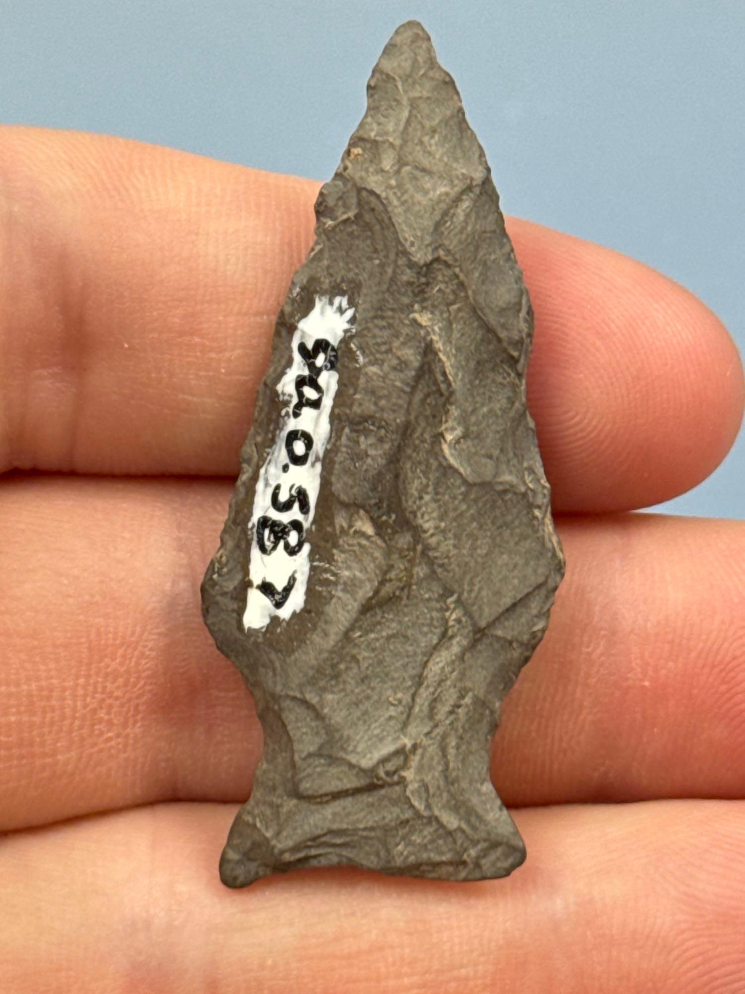 2" Transitional Style Point (Fishtail/Broad), Found in Chemung Co., NY