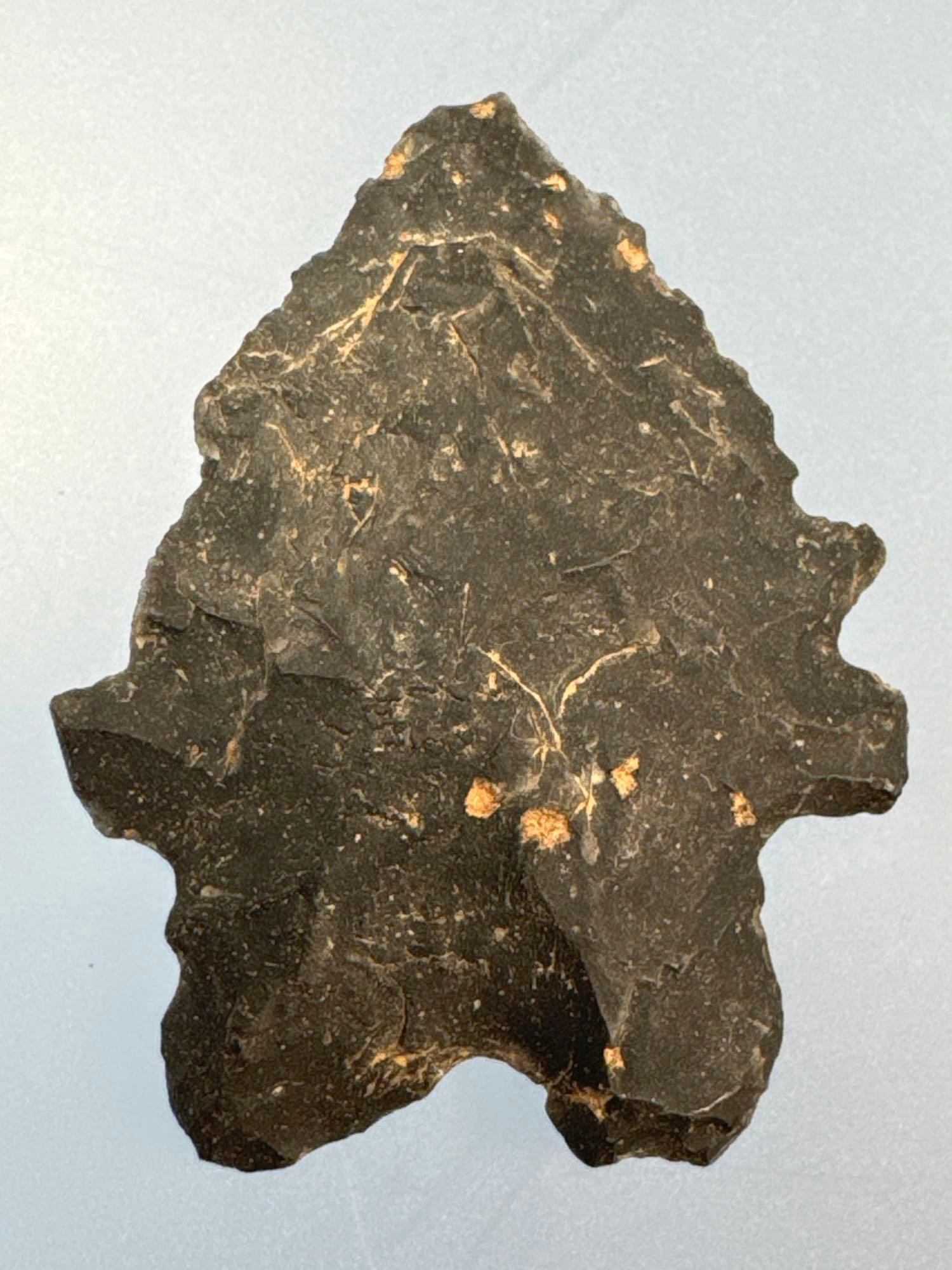 1 1/4" Black Chert Serrated Bifurcate, Ex: Sonny Delong Collection Who Collected and Hunted Artifact