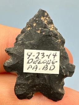 1 1/4" Black Chert Serrated Bifurcate, Ex: Sonny Delong Collection Who Collected and Hunted Artifact