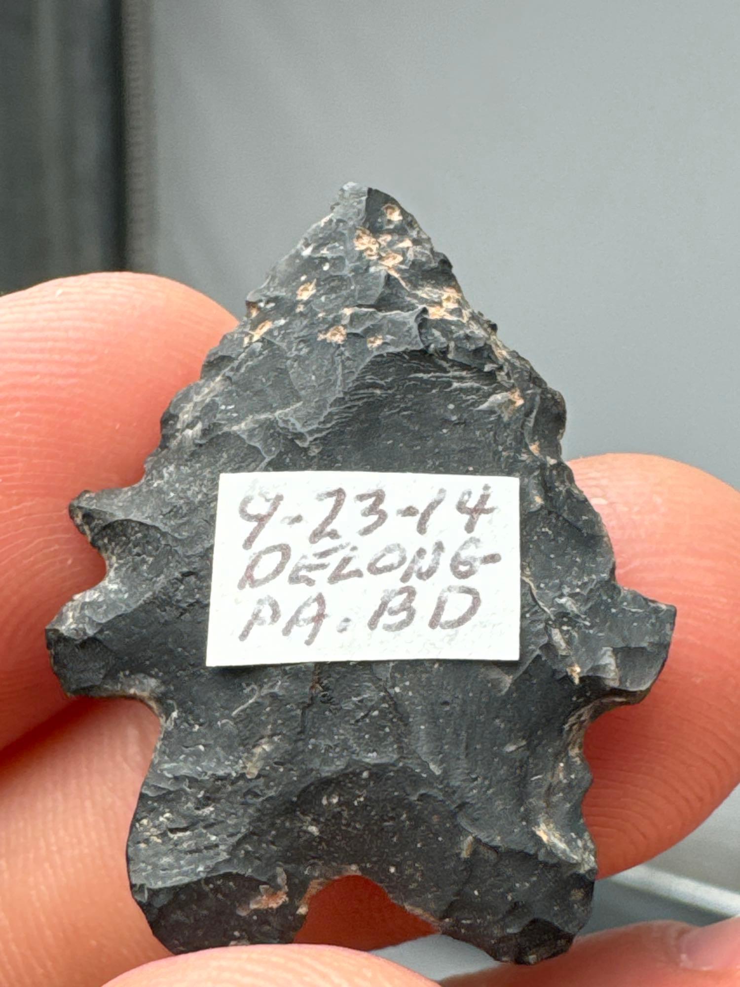 1 1/4" Black Chert Serrated Bifurcate, Ex: Sonny Delong Collection Who Collected and Hunted Artifact