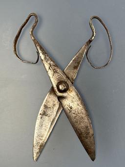 NICE 9" OLD Shears w/Marking (Likely Maker Mark), Early Pair, Great Condition! Ex: Lemaster Collecti