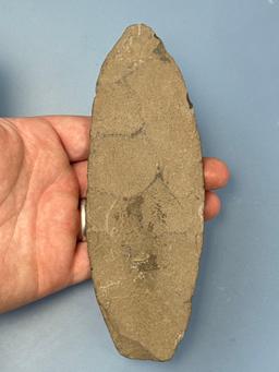 XL 6 3/4" THIN Argillite Petalas Blade, Found in Warren Co., NJ in 1995, Nice Example and WELL MADE!