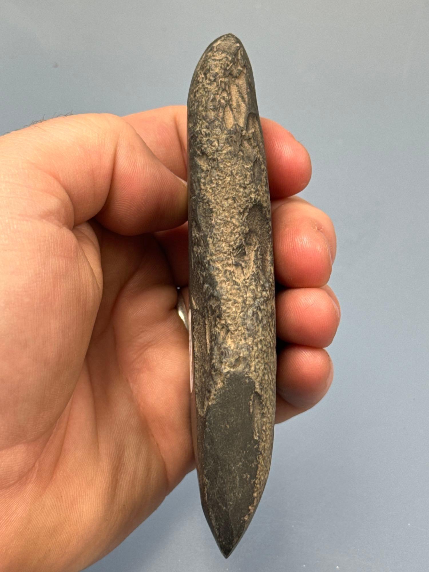 4 7/8" Well-Made Celt, Polished Bit, Found on Marshall Grint Farm in New Jersey, Delaware River Vall