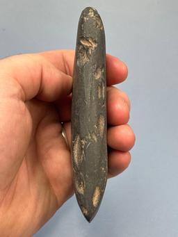 4 7/8" Well-Made Celt, Polished Bit, Found on Marshall Grint Farm in New Jersey, Delaware River Vall