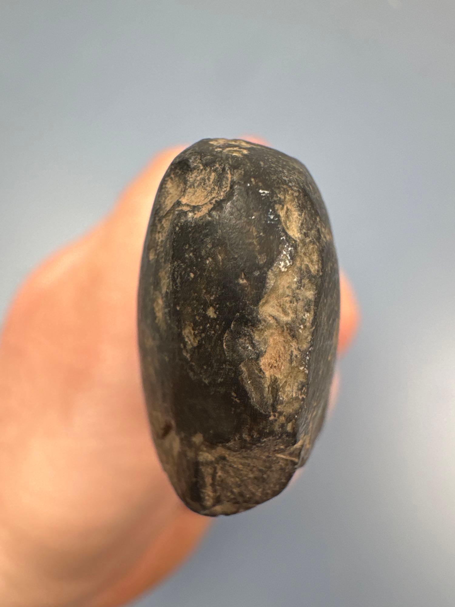 4 7/8" Well-Made Celt, Polished Bit, Found on Marshall Grint Farm in New Jersey, Delaware River Vall
