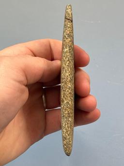 LARGE 5 1/8" Speckled Gneiss Pendant, Drilled, Broken and Glued at Top, Found in New Jersey