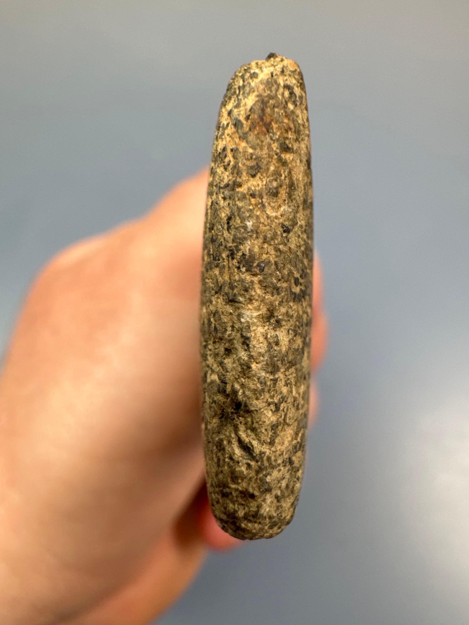 LARGE 5 1/8" Speckled Gneiss Pendant, Drilled, Broken and Glued at Top, Found in New Jersey