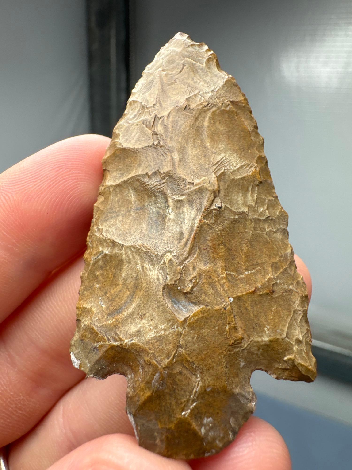 1 5/16" Serrated Jasper Point (likely Re-worked Bifurcate), Found in Pennsylvania, Ex: Bud Ripley Co