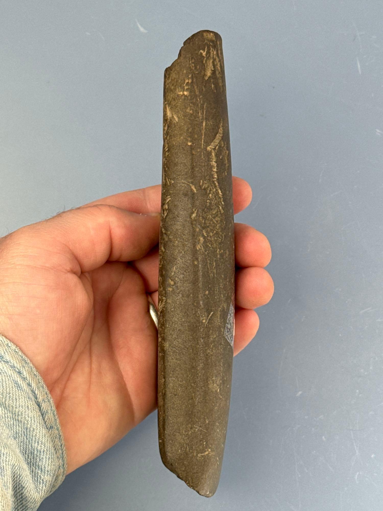 IMPRESSIVE 7 1/8" Polished Celery Stalk Gouge, Found in New York Purchased at a Conestoga Auction, O