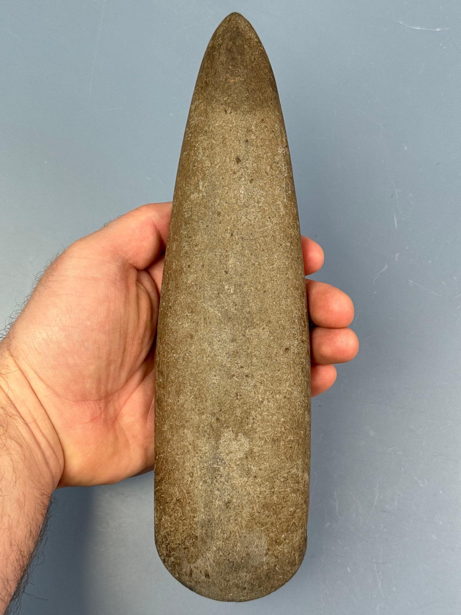 PERFECT 9 5/8" Poll Celt, Found in the Midwest, Fine Example