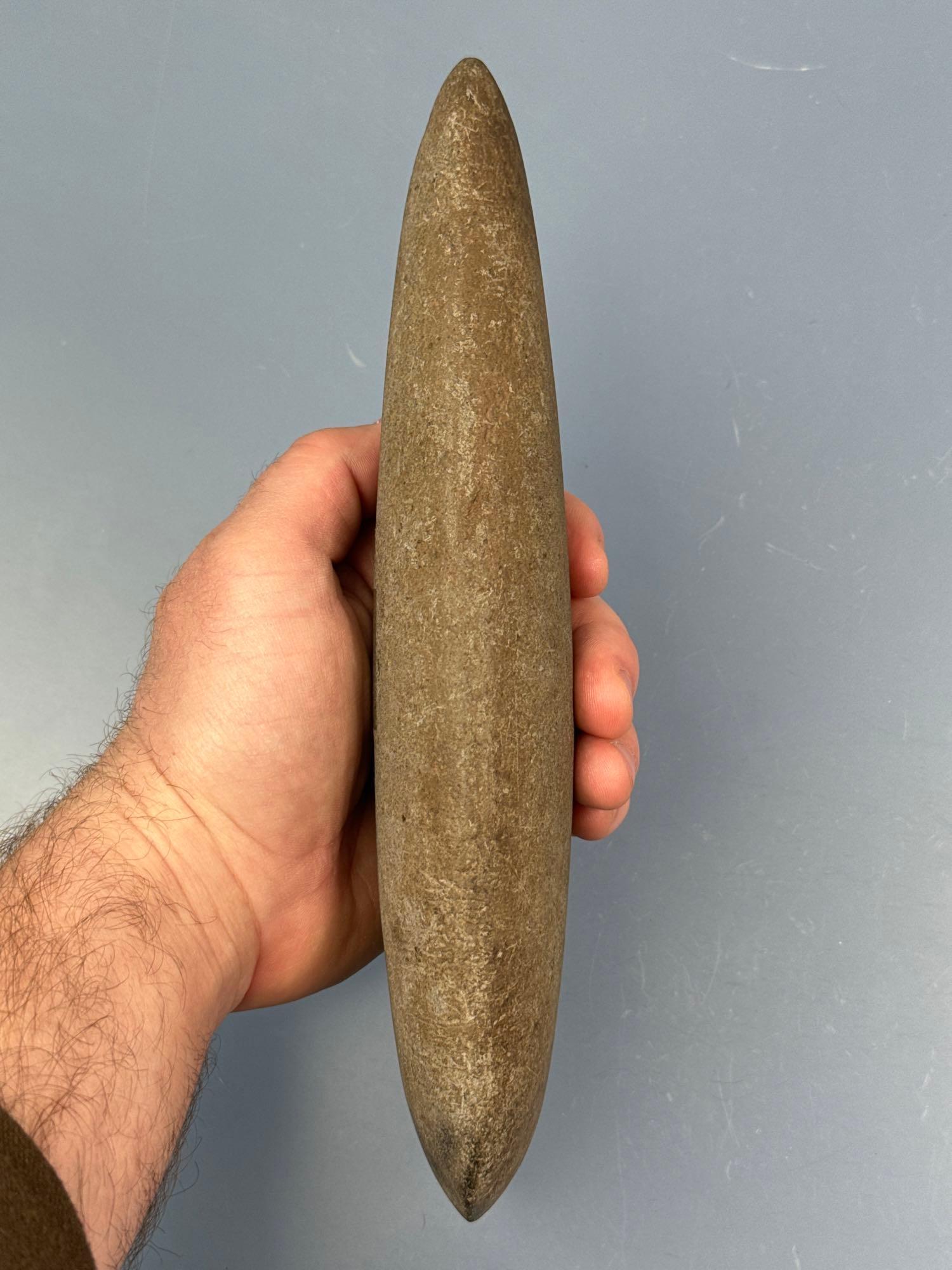 PERFECT 9 5/8" Poll Celt, Found in the Midwest, Fine Example