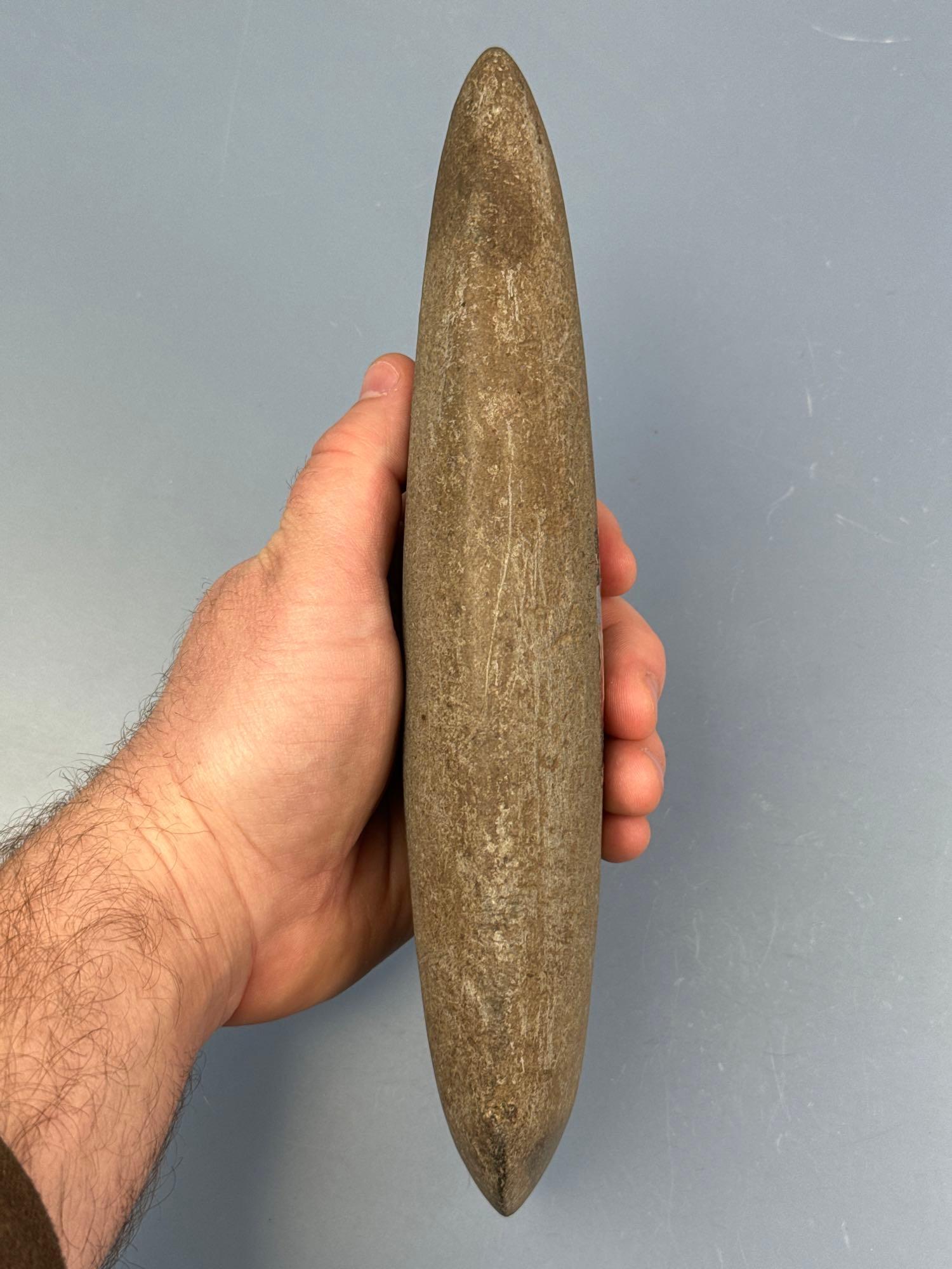 PERFECT 9 5/8" Poll Celt, Found in the Midwest, Fine Example