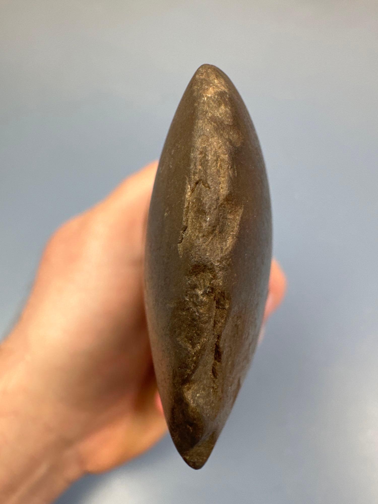 Well-Polished 5 3/8" Full Groove Axe, Found in New York State, Minor Dings Noted