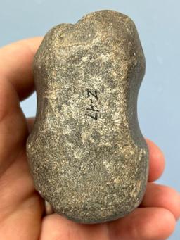 3" Grooved Hammerstone, Found in New Jersey, Polish on Groove, Ex: Bob Sharp Collection